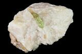 Yellow-Green Fluorapatite Crystal in Calcite - Ontario, Canada #137105-2